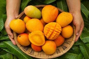 می خوای پوستت همیشه سالم باشه؟ انبه معجزه میکنه! 