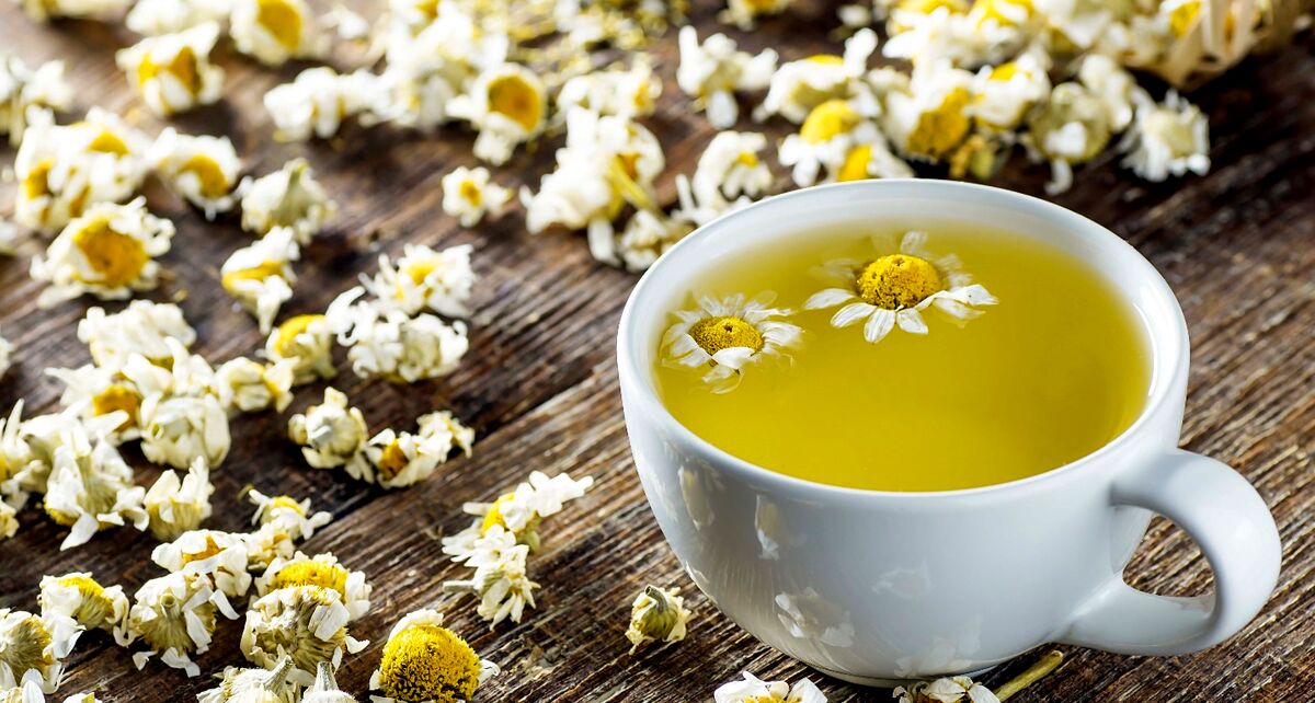 دمنوش بابونه برای کودکان