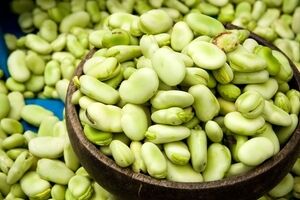 آشنایی با بیماری باقلایی | نشانه و راهکار خانگی برای بیماری فاویسم