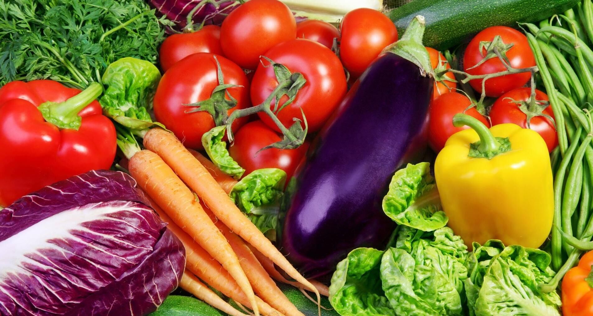 کدوم صیفی جات مزاج سردی دارن و مصلحشون چیه؟