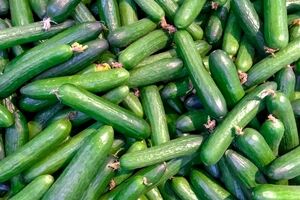 درباره خیار و خواص آن بیشتر بخوانید + طبع و ارزش غذایی