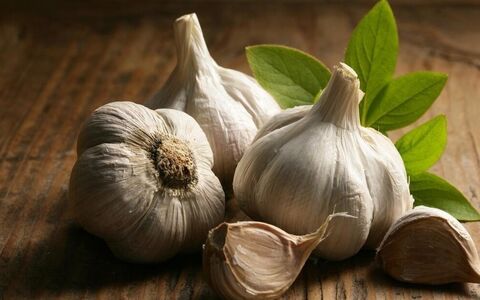 سیر رو چجوری بخوریم تا لاغر شیم؟ 