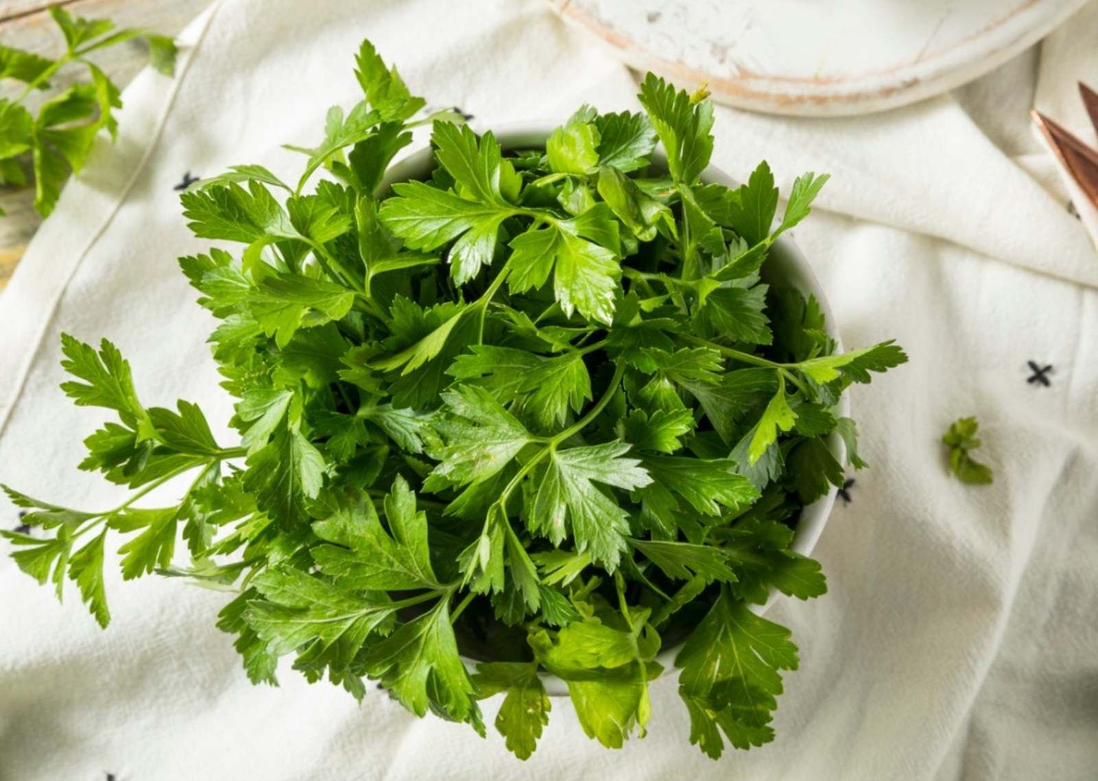 دم کرده این سبزی برای زودتر پریود شدن معجزه میکنه