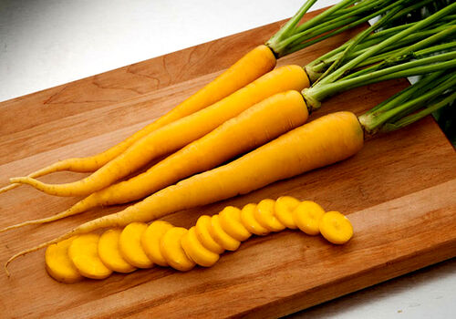 خواص زردک از لاغری تا تقویت سیستم ایمنی بدن!