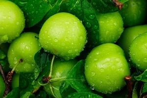 گوجه سبز یا آلوچه؟ مسئله این است! 