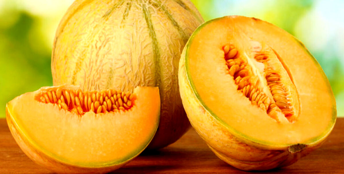طالبی برای دیابت