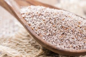 همه چیز درباره خواص اسفرزه + طبع و مصلح آن