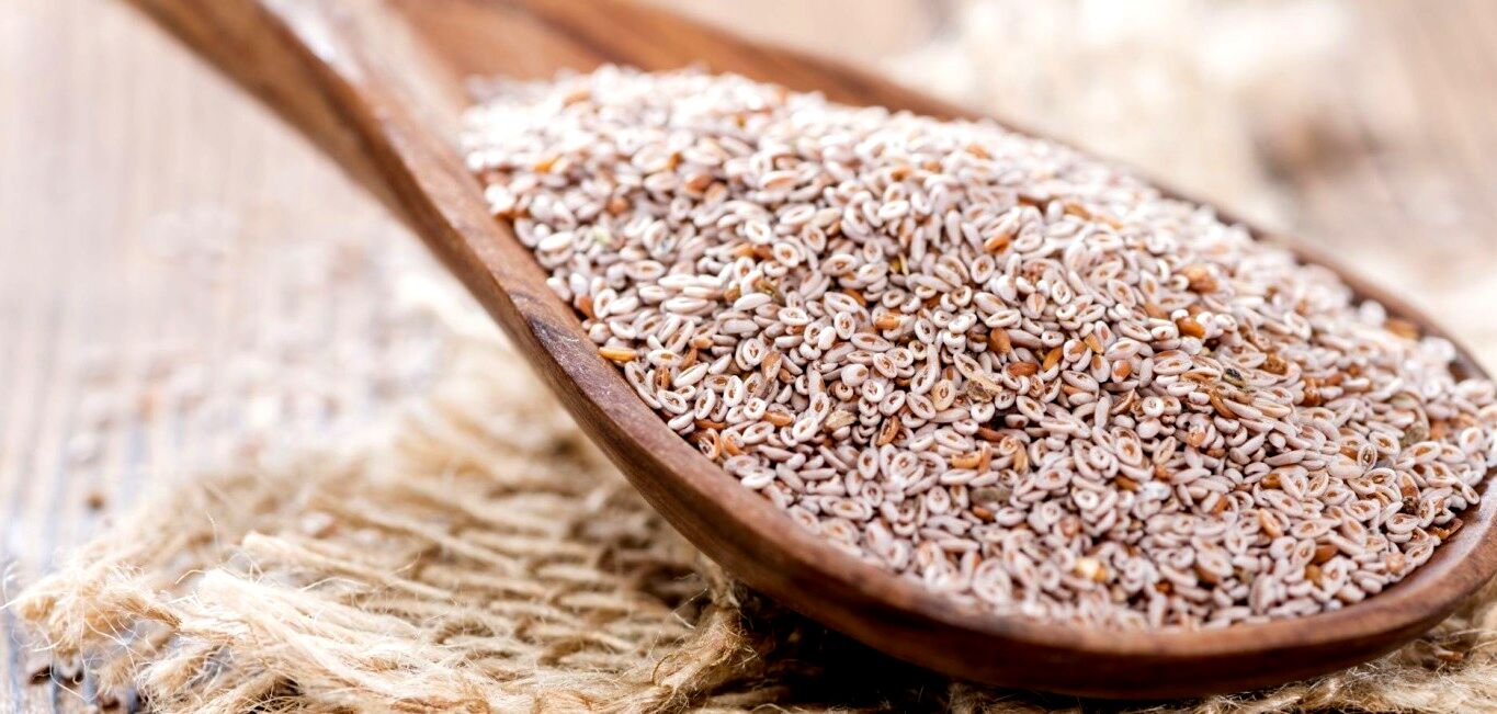 همه چیز درباره خواص اسفرزه + طبع و مصلح آن
