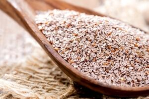 همه چیز درباره خواص اسفرزه + طبع و مصلح آن