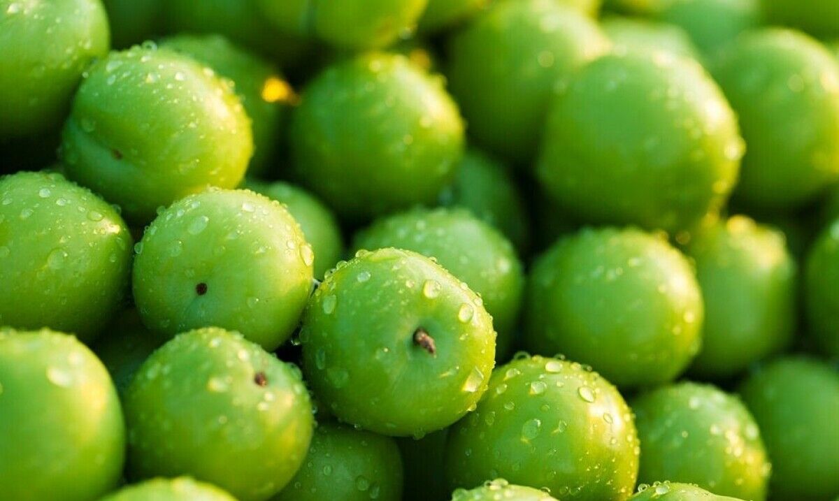 گوجه سبز