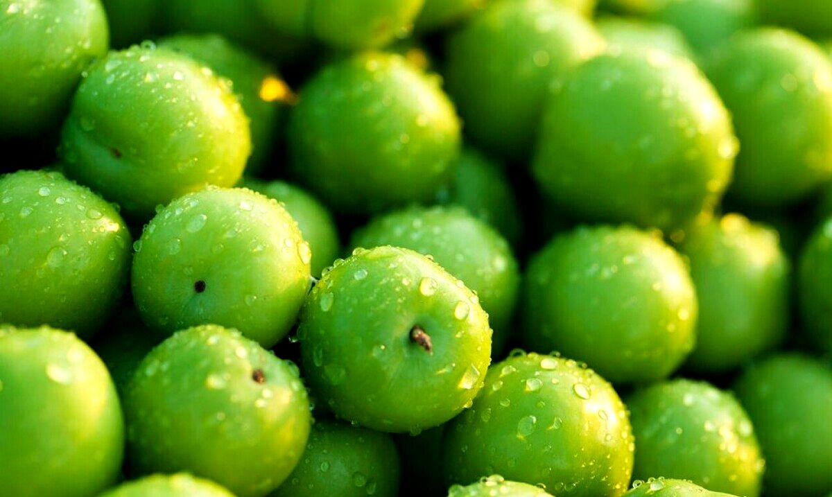 چه کسانی نباید گوجه سبز بخورند؟