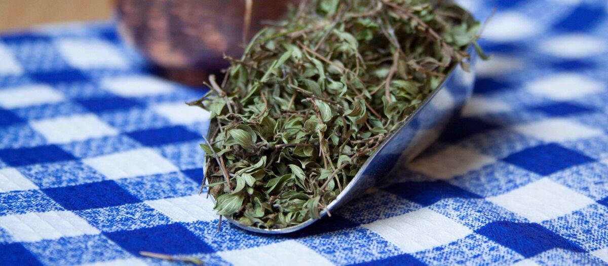 آویشن برای عفونت زنان 