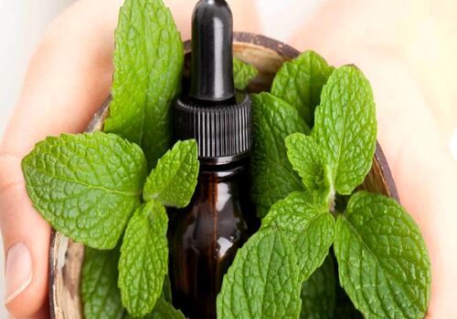 بهبود مشکلات تیروئید با استفاده از این ۱۲ روغن گیاهی 