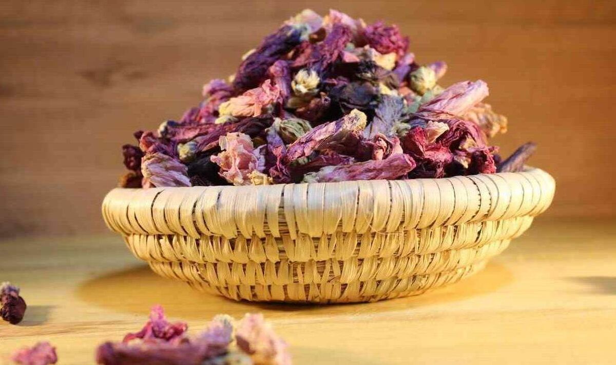 گل ختمی