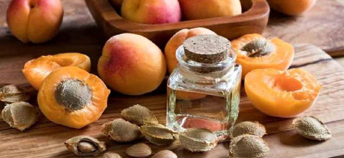 روغن هسته زردآلو