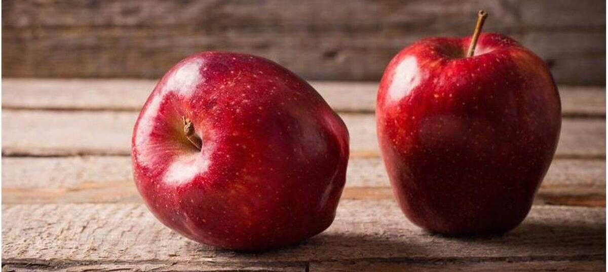 رژیم سیب