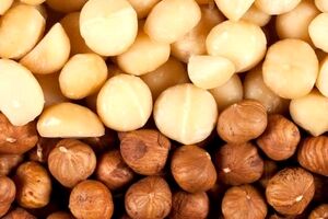 تفاوت فندق و ماکادمیا در خواص و موارد مصرف + تصاویر