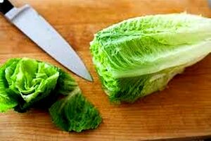 همه چیز درباره خواص بی نظیر کاهو + طبع 