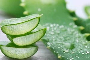 خواص شگفت انگیز آلوئه ورا برای معده درد
