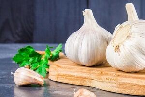 مهم ترین خواص سیر برای سلامت بدن + طبع و مصلح آن