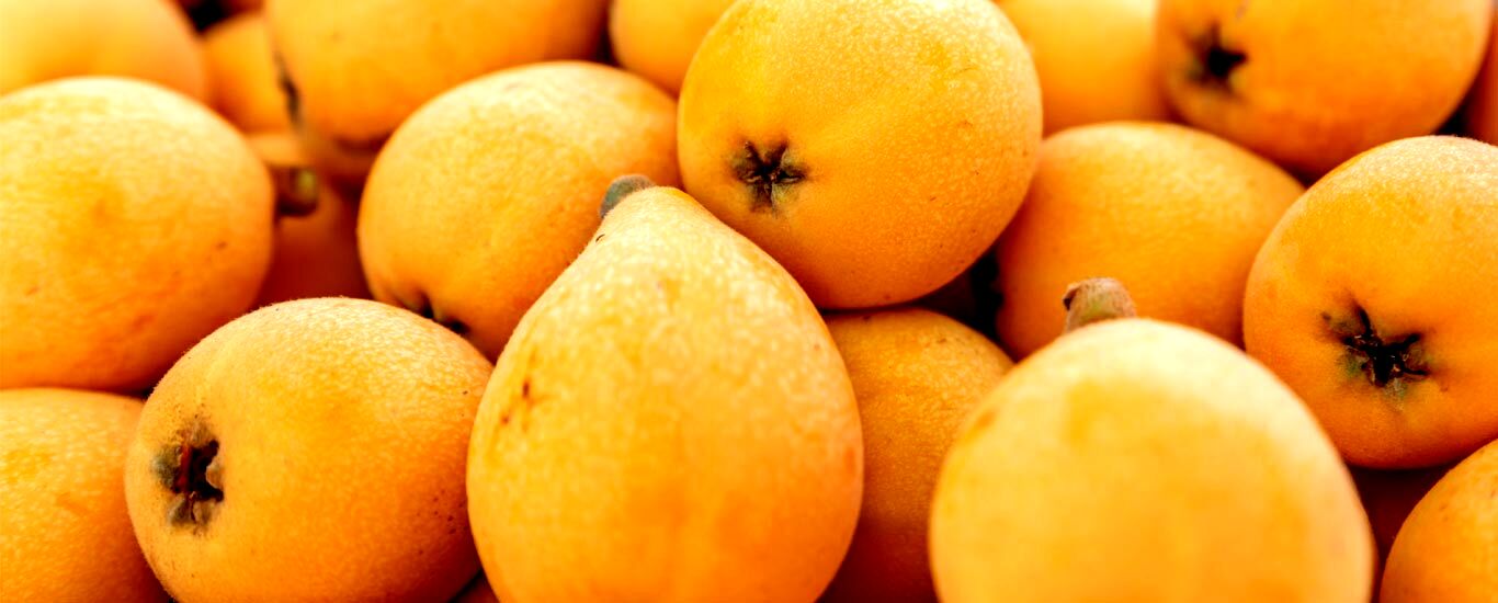 با ازگیل و خواص درمانی آن آشنا شوید + طبع ازگیل