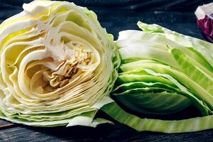 آشنایی با خواص کلم پیچ برای سلامت بدن + طبع و ارزش غذایی