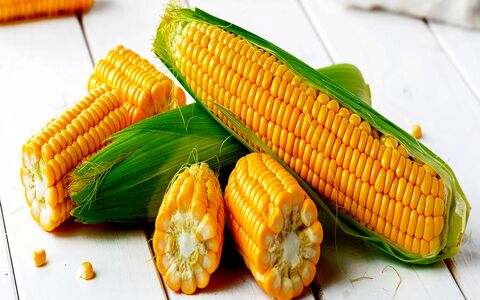 همه چیز درباره ذرت و خواص آن + ارزش غذایی