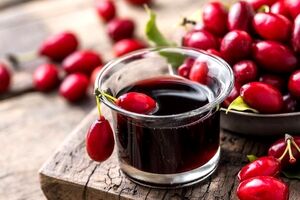 معرفی کامل زغال اخته و خواص آن در طب سنتی 