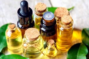 راحت ترین راهکار درمان خانگی گرمازدگی با استفاده از این روغن های گیاهی 