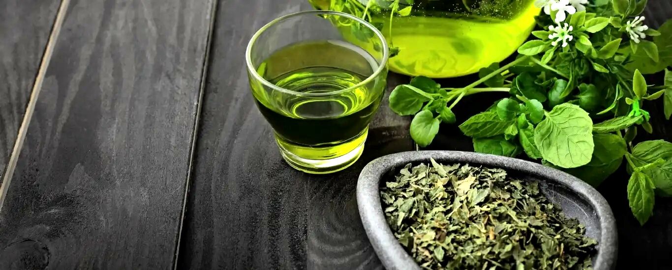 آنچه درباره چای سبز بهتر است بدانیم | همه خواص چای سبز