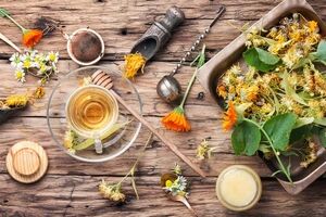 رایج ترین شیوه های مصرف گیاهان دارویی