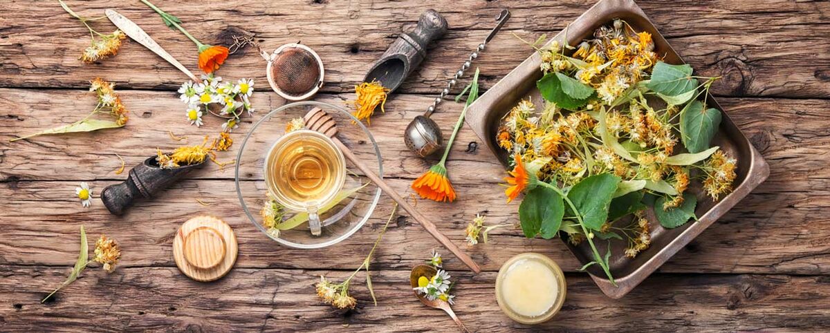 شیوه مصرف گیاهان دارویی