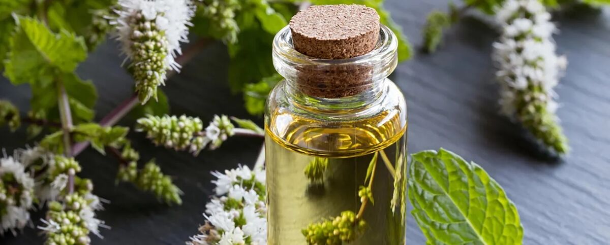 روغن گیاهی برای رفع سلولیت