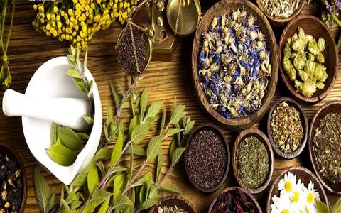 گیاهان دارویی مفید برای سلامت ریه | رفع عفونت ریه با گیاه دارویی