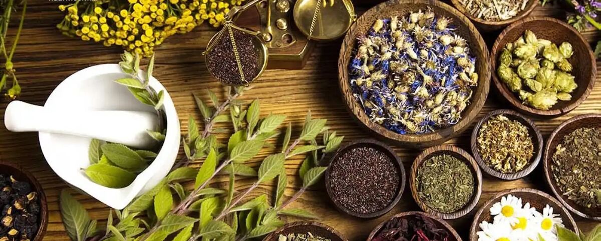 گیاهان دارویی مفید برای سلامت ریه