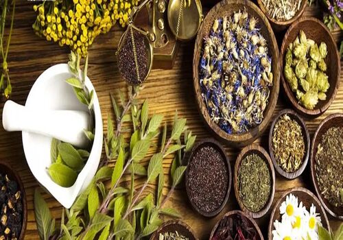 گیاهان دارویی مفید برای سلامت ریه | رفع عفونت ریه با گیاه دارویی