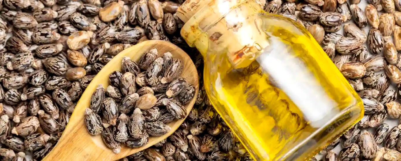 از خواص معجزه آسای روغن کرچک چقدر می دانید؟ + طبع و نحوه مصرف 