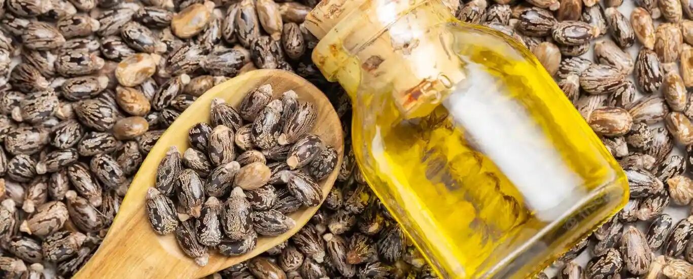 از خواص معجزه آسای روغن کرچک چقدر می دانید؟ + طبع و نحوه مصرف 