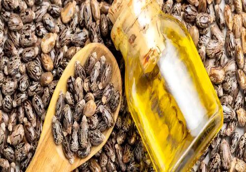 از خواص معجزه آسای روغن کرچک چقدر می دانید؟ + طبع و نحوه مصرف 