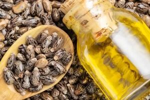 از خواص معجزه آسای روغن کرچک چقدر می دانید؟ + طبع و نحوه مصرف 