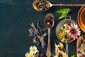 دمنوش های موثر برای دفع سنگ کلیه