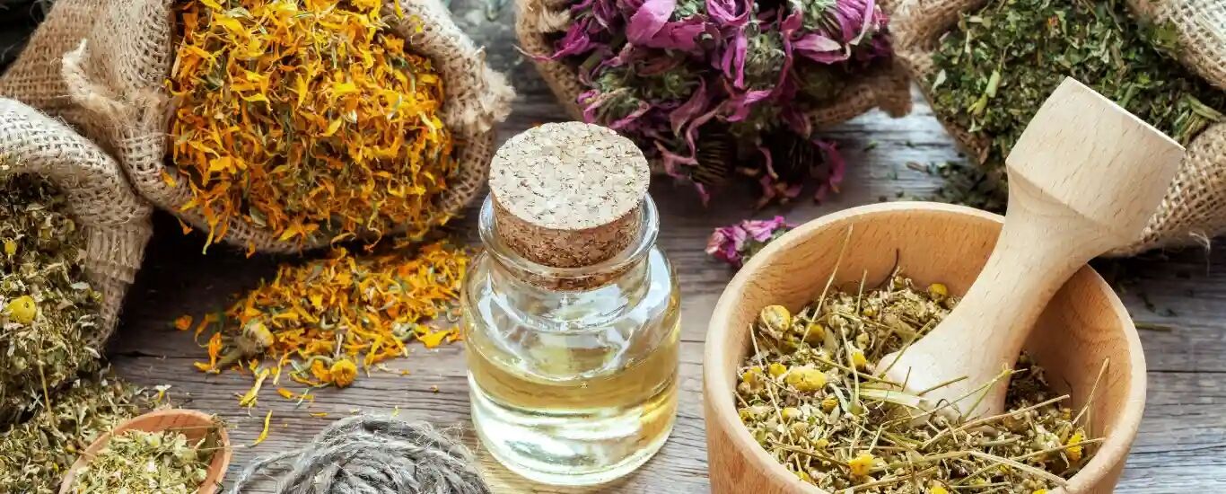 داروهای گیاهی مفید برای درمان کیست تخمدان