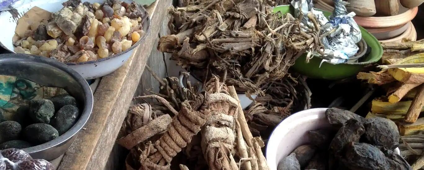 گیاهان دارویی مفید برای کنترل رماتیسم مفصلی