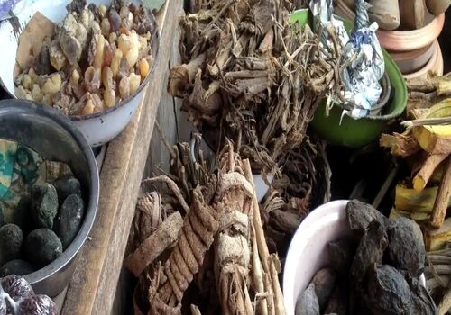 گیاهان دارویی مفید برای کنترل رماتیسم مفصلی