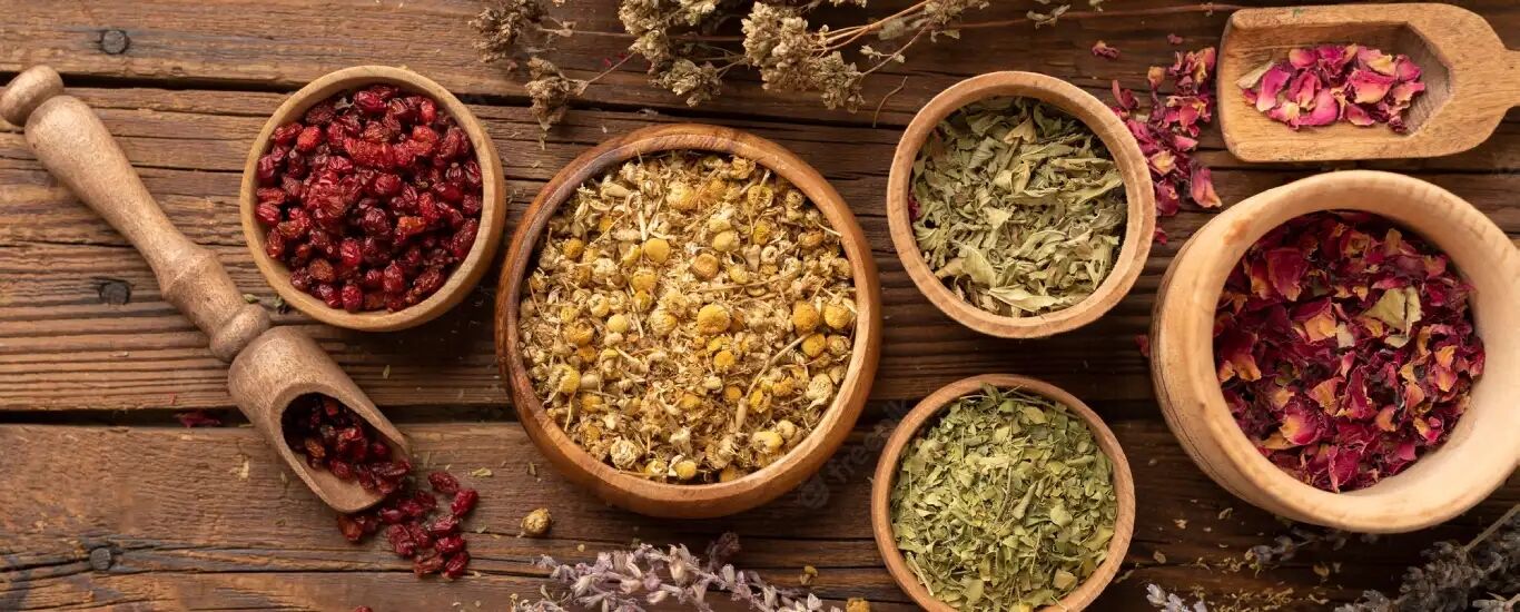 روش های گیاهی برای درمان انسداد روده در طب سنتی