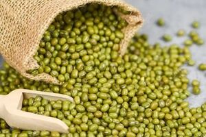 خواص ماش؛ یکی از حبوبات پرخاصیت + طبع و ارزش غذایی