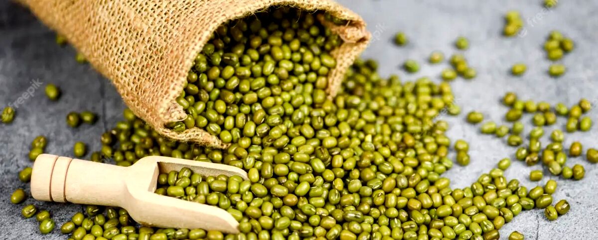 خواص ماش