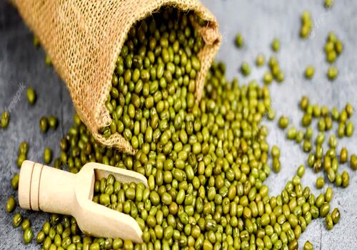 خواص ماش؛ یکی از حبوبات پرخاصیت + طبع و ارزش غذایی