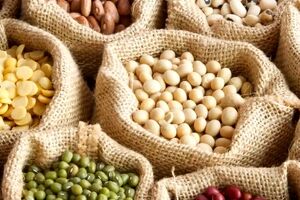 صفر تا ۱۰۰  طبع حبوبات و غلات + خواص آن ها 
