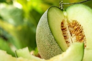 چند خاصیت مهم خربزه که نمی دانستید